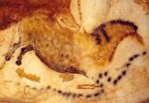 Le Premier Cheval Chinois de Lascaux.  Photo Ray Delvert