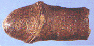 Erfoud