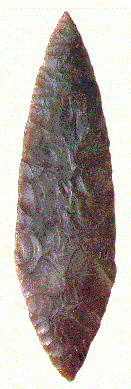 feuille de laurier