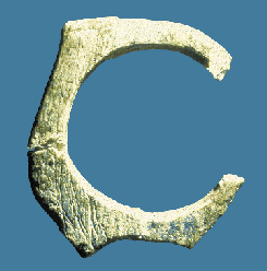 anneau en ivoire, couche X, Grotte du Renne, Arcy-sur-Cure